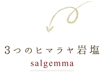 3つの岩塩 salgemma