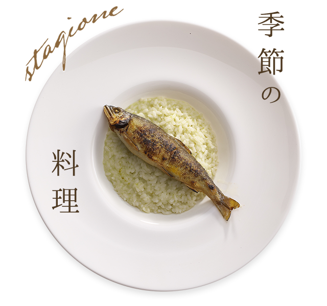 季節の料理